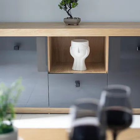 New Luxury In Downtown Apartment