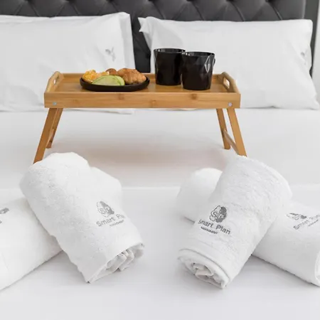 公寓 New Luxury In Downtown